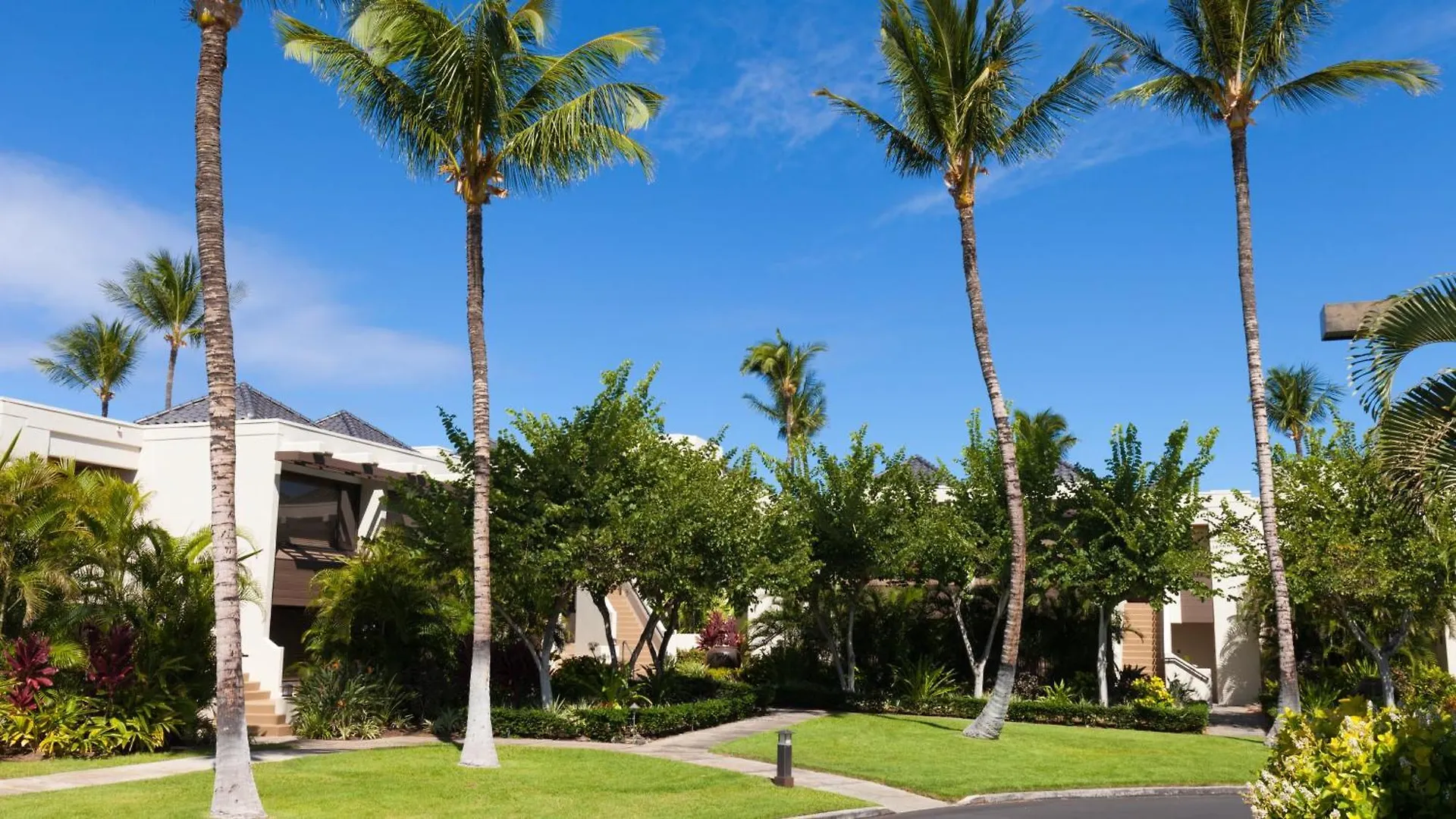 דירה וויקולואה Coastal Dreams Villa Breathtaking Oceanfront 3Br Condo - Walk To Beach Club