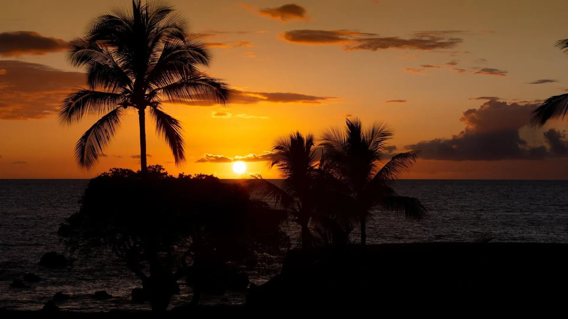 Apartment Coastal Dreams Villa Breathtaking Oceanfront 3Br Condo - Walk To Beach Club Waikoloa United States