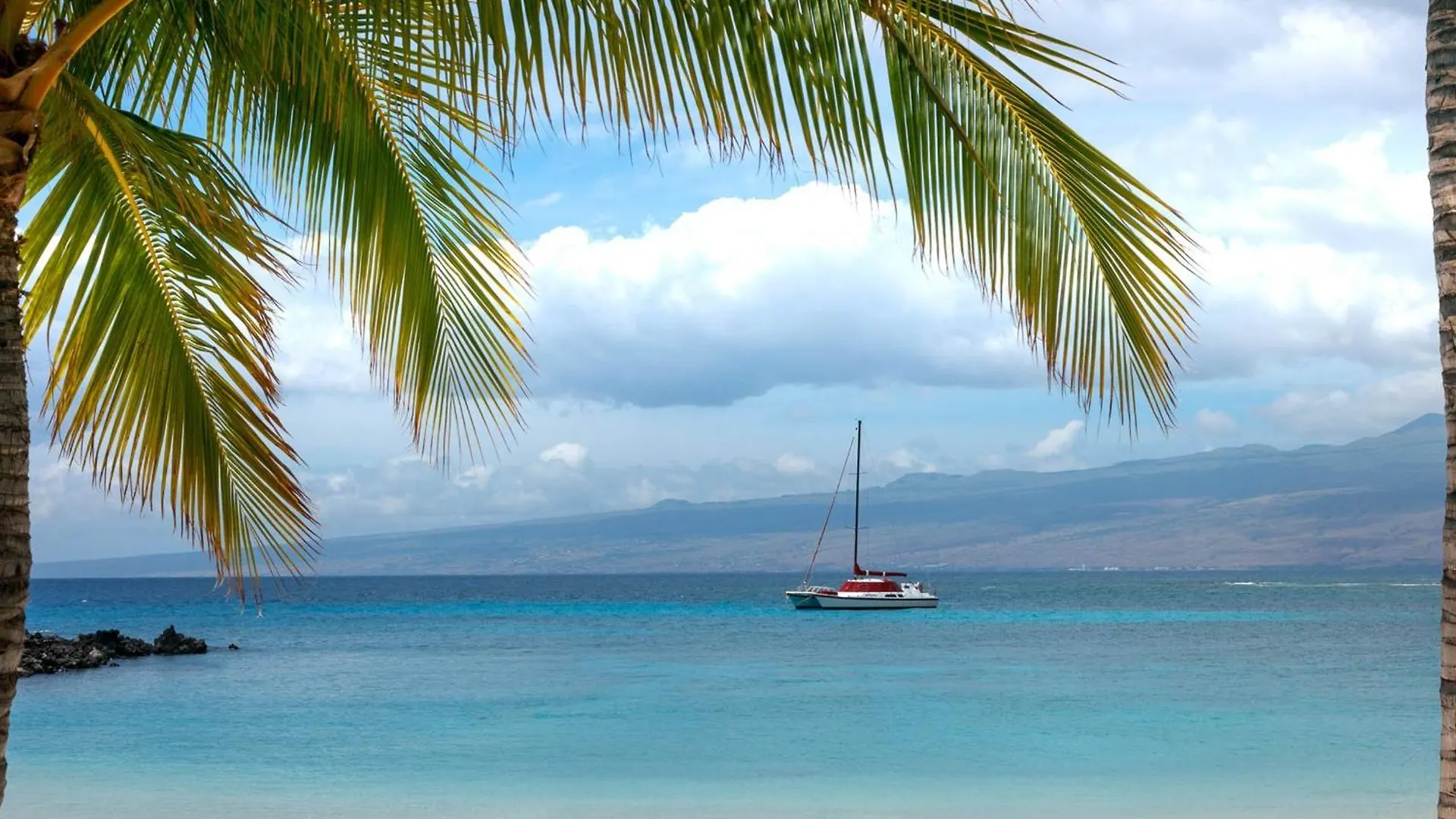 Apartment Coastal Dreams Villa Breathtaking Oceanfront 3Br Condo - Walk To Beach Club Waikoloa