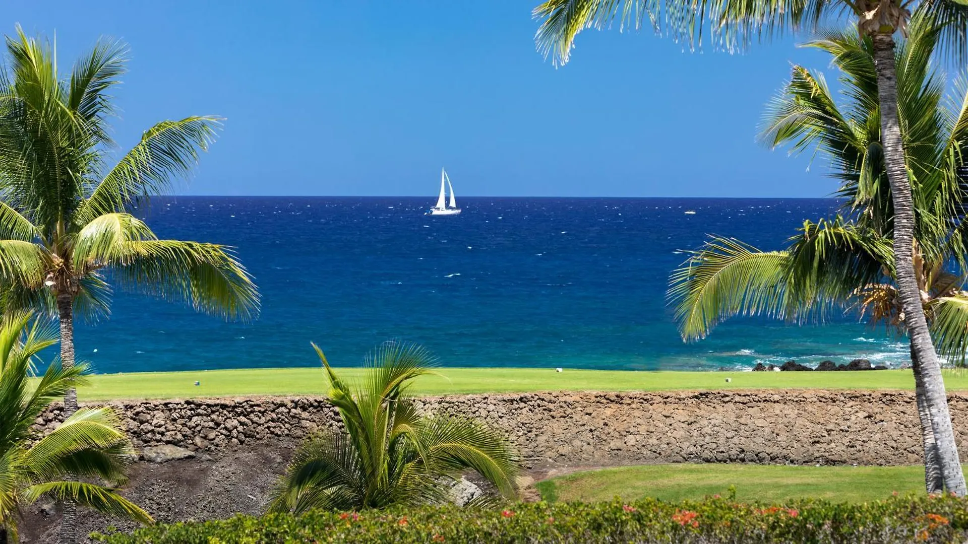 Coastal Dreams Villa Breathtaking Oceanfront 3Br Condo - Walk To Beach Club Waikoloa Apartment